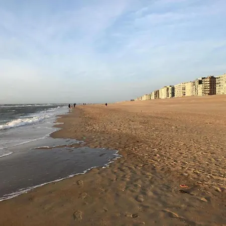 Apartment Wellington 402 Beautiful Flat On Of Koksijde